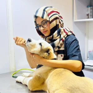 Safe dog and puppy deworming treatment at pet clinic in Karachi