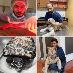 Reptile and rabbit exotic pet care by specialist vet in Lahore and Karachi