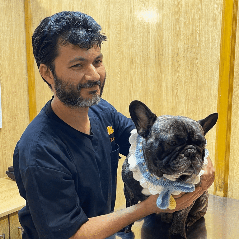 How to Tell If Your Exotic Pet Is Sick: Warning Signs for Birds, Rabbits, and Reptiles in Pakistan