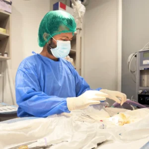 Pet surgeon performing operation at Zia Vet Clinic Lahore