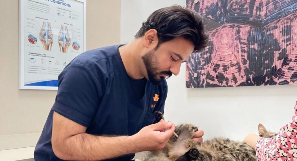 Why Zia Vet Clinic Is Your Pet’sBest Choice in Karachi