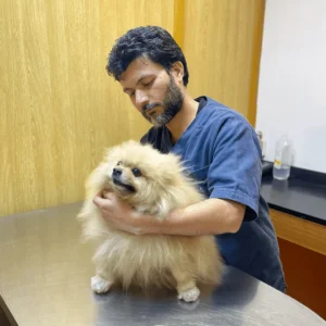 Veterinarian examining a pet at Zia Vet Clinic in Lahore
