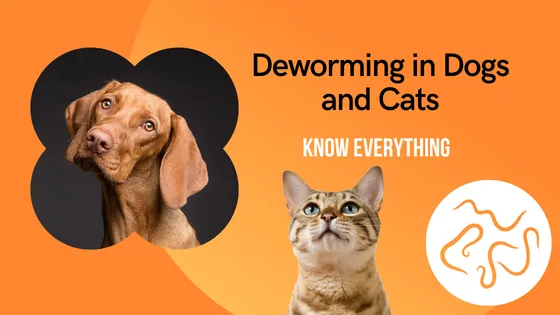 Deworming for Dogs & Cats: Why Regular Parasite Control Is Essential for Your Pet’s Health