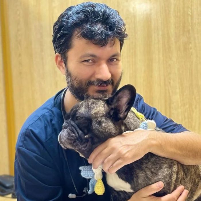Close-up of a smiling male veterinarian in blue scrubs holding a brindle French Bulldog during a pet care services visit.
